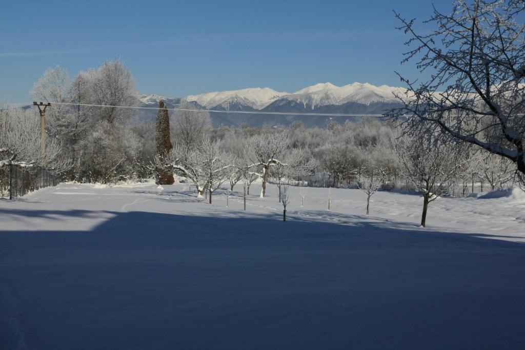 Skipension Jasna Pavčina Lehota Buitenkant foto